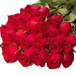 Імпортні троянди