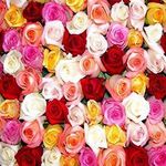 Троянди поштучно