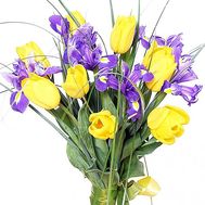 Букет із 9 тюльпанів і 8 ірисів