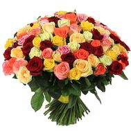 151 різнокольорова троянда