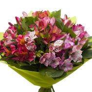 Букет із 21 альстромерія