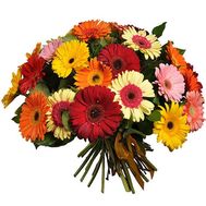 Букет із 35 гербер