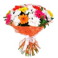 Букет із 6 хризантем і 11 гербер