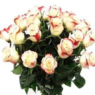 Букет із двуцветной імпортної троянди