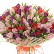 Букет из 151 тюльпана
