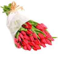 Букет із 35 червоних тюльпанів