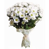 Букет із 9 ромашкових хризантем