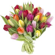 Букет із 31 тюльпана