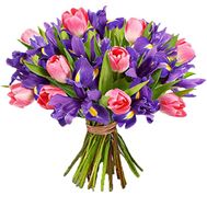 Букет 11 тюльпанів і 20 ірисів