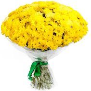 Букет із 25 жовтих хризантем
