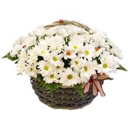 Кошик з 7 хризантем