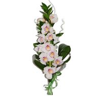 Гілка орхідеї