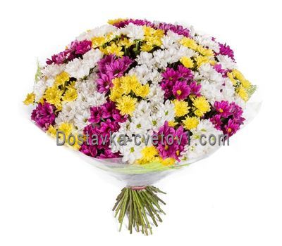 Букет із 35 хризантем