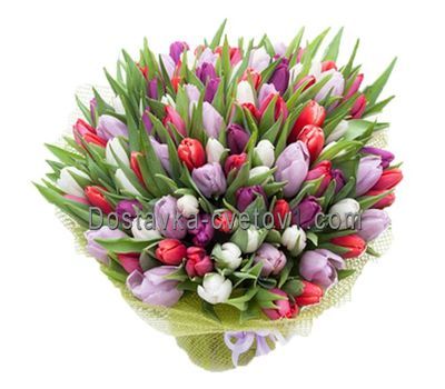 Букет из 75 тюльпанов