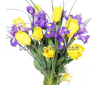 Букет із 9 тюльпанів і 8 ірисів