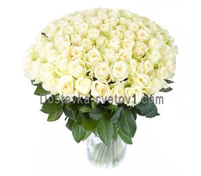 101 белая роза