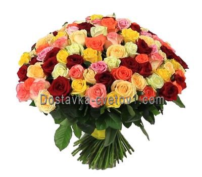 151 разноцветная роза