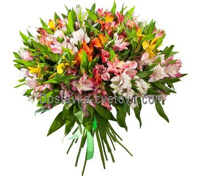 Букет із 35 альстромерій