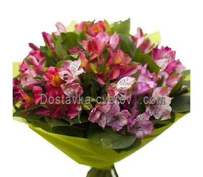 Букет із 21 альстромерія