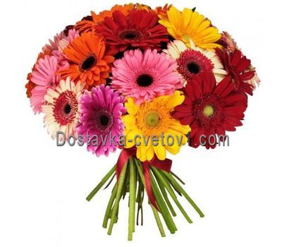 Букет із 25 різнокольорових гербер
