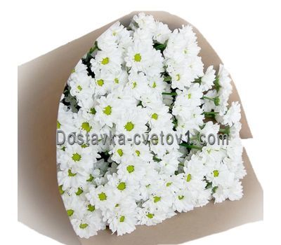Букет із 13 білих хризантем