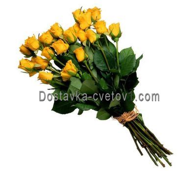 Букет із 19 жовтих імпортних троянд