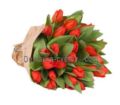 Букет із 29 тюльпанів