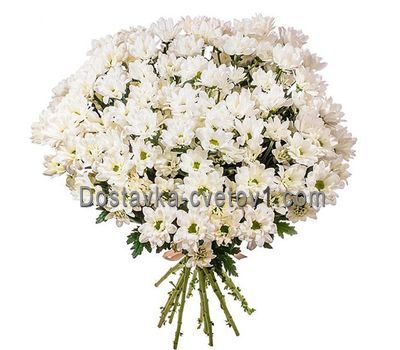 Букет із 19 ромашкових хризантем