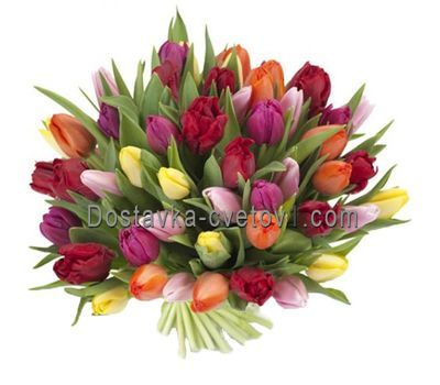 Букет із 51 тюльпана