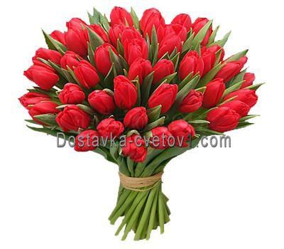 Букет весенних цветов из 55 тюльпанов