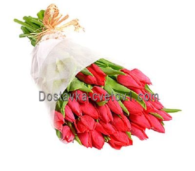 Букет із 35 червоних тюльпанів
