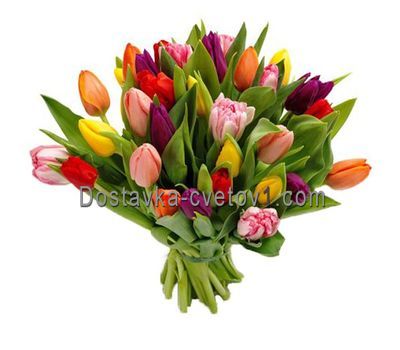 Букет из 35 тюльпанов