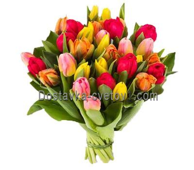 Букет із 33 тюльпанів