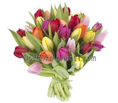 Букет із 31 тюльпана