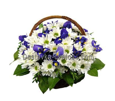 Корзина из 15 хризантем и 7 ирисов