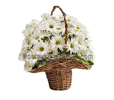 Кошик з 7 хризантем