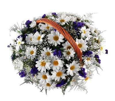 Корзина из 11 хризантем