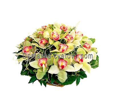 Кошик з 15 орхідей