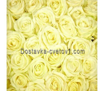 Білі троянди поштучно