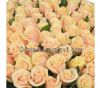 Кремові троянди поштучно