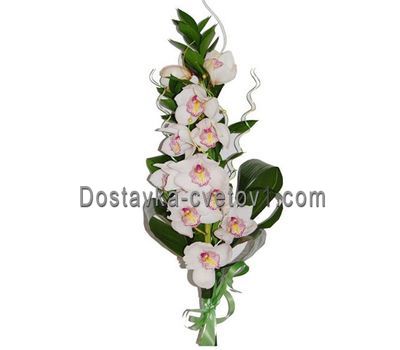 Гілка орхідеї