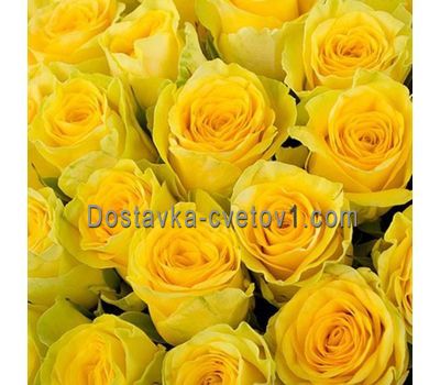 Жовті троянди поштучно